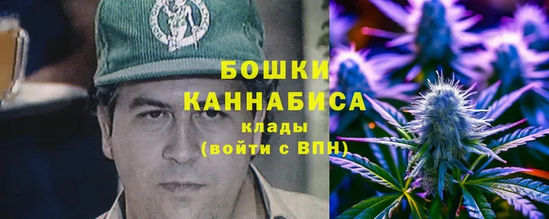 Марихуана OG Kush  Уяр 